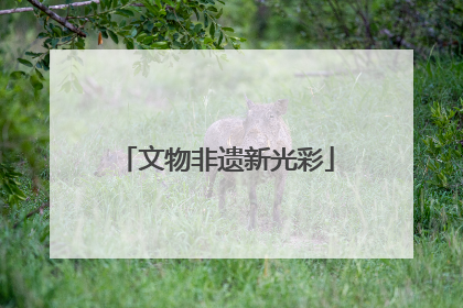 文物非遗新光彩