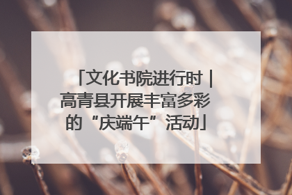 文化书院进行时｜高青县开展丰富多彩的“庆端午”活动