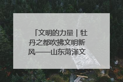 文明的力量｜牡丹之都吹拂文明新风——山东菏泽文明创建一线见闻