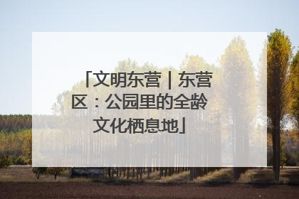 文明东营｜东营区：公园里的全龄文化栖息地