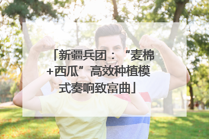 新疆兵团：“麦棉+西瓜”高效种植模式奏响致富曲
