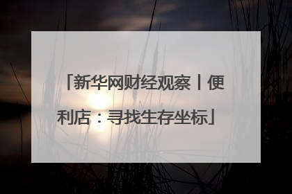 新华网财经观察丨便利店：寻找生存坐标