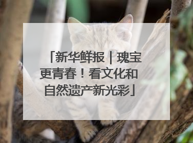 新华鲜报｜瑰宝更青春！看文化和自然遗产新光彩
