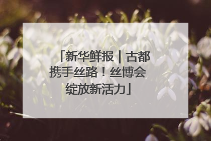 新华鲜报｜古都携手丝路！丝博会绽放新活力