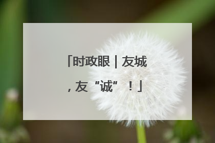 时政眼｜友城，友“诚”！