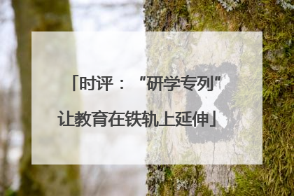 时评：“研学专列”让教育在铁轨上延伸