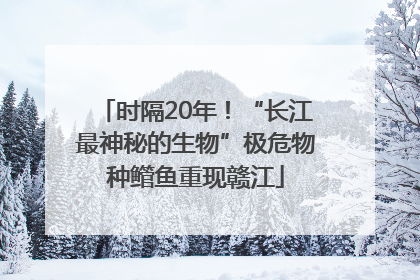 时隔20年！“长江最神秘的生物”极危物种鳤鱼重现赣江