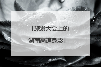 旅发大会上的湖南高速身影