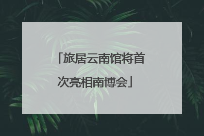 旅居云南馆将首次亮相南博会