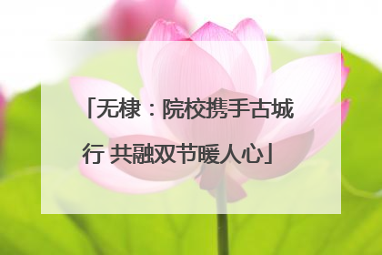 无棣：院校携手古城行 共融双节暖人心