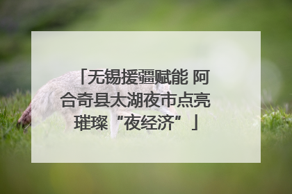无锡援疆赋能 阿合奇县太湖夜市点亮璀璨“夜经济”