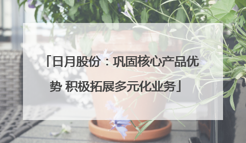 日月股份：巩固核心产品优势 积极拓展多元化业务