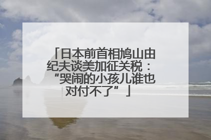 日本前首相鸠山由纪夫谈美加征关税：“哭闹的小孩儿谁也对付不了”