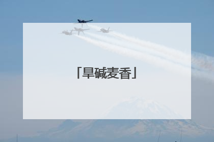 旱碱麦香