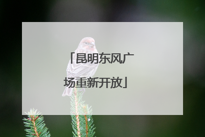 昆明东风广场重新开放