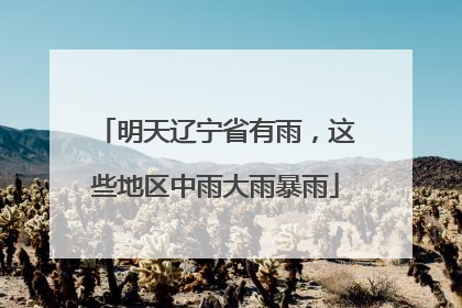 明天辽宁省有雨，这些地区中雨大雨暴雨