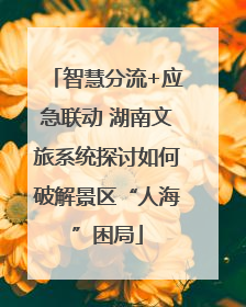 智慧分流+应急联动 湖南文旅系统探讨如何破解景区“人海”困局