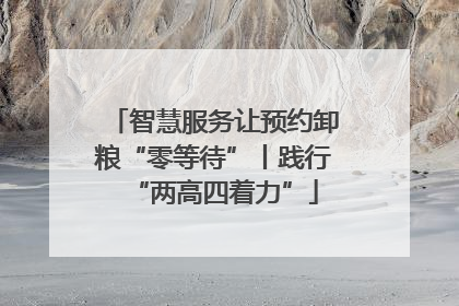 智慧服务让预约卸粮“零等待”丨践行“两高四着力”