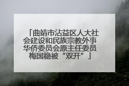 曲靖市沾益区人大社会建设和民族宗教外事华侨委员会原主任委员梅国稳被“双开”