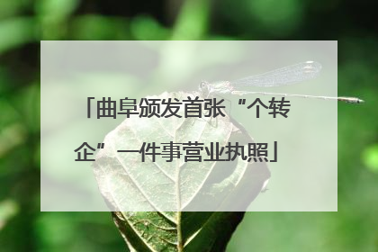 曲阜颁发首张“个转企”一件事营业执照