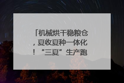 机械烘干稳粮仓，夏收夏种一体化！“三夏”生产跑出加速度｜麦报