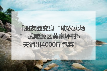 朋友圈变身“助农卖场” 武陵源区黄家坪村5天销出4000斤包菜