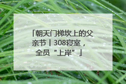朝天门梯坎上的父亲节丨308寝室，全员“上岸”