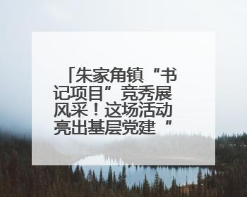 朱家角镇“书记项目”竞秀展风采！这场活动亮出基层党建“成绩单”