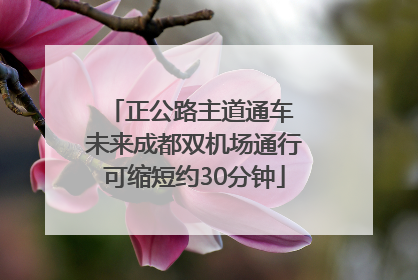 正公路主道通车 未来成都双机场通行可缩短约30分钟