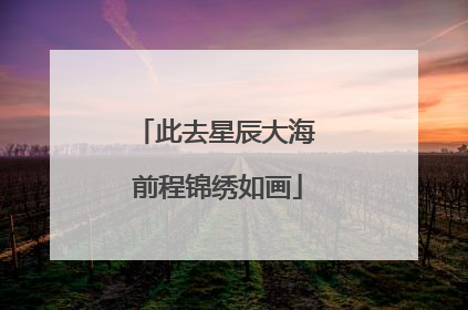 此去星辰大海 前程锦绣如画