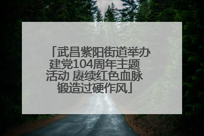 武昌紫阳街道举办建党104周年主题活动 赓续红色血脉锻造过硬作风
