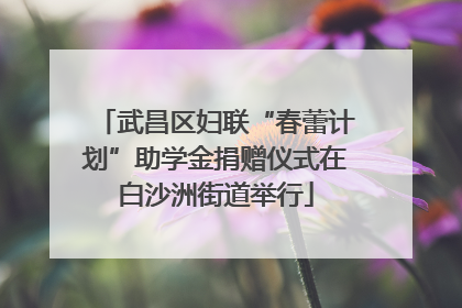 武昌区妇联“春蕾计划”助学金捐赠仪式在白沙洲街道举行