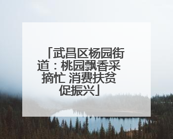 武昌区杨园街道：桃园飘香采摘忙 消费扶贫促振兴