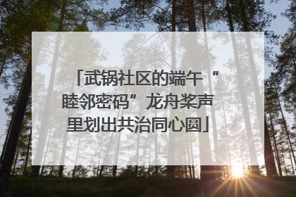 武锅社区的端午“睦邻密码”龙舟桨声里划出共治同心圆