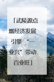 武陵源点燃经济发展引擎 “一业兴”带动百业旺