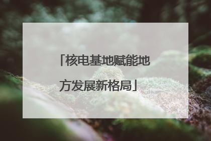 核电基地赋能地方发展新格局