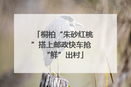 桐柏“朱砂红桃”搭上邮政快车抢“鲜”出村