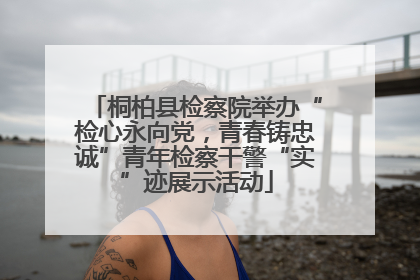 桐柏县检察院举办“检心永向党，青春铸忠诚”青年检察干警“实”迹展示活动