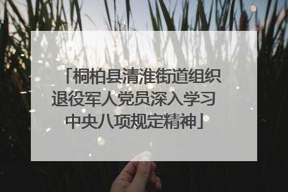 桐柏县清淮街道组织退役军人党员深入学习中央八项规定精神