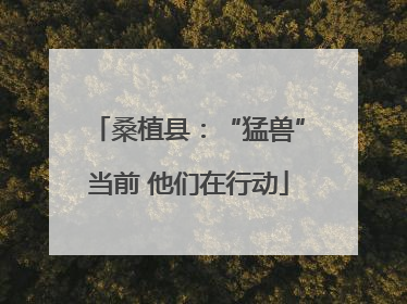 桑植县：“猛兽”当前 他们在行动