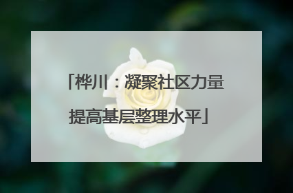 桦川：凝聚社区力量 提高基层整理水平