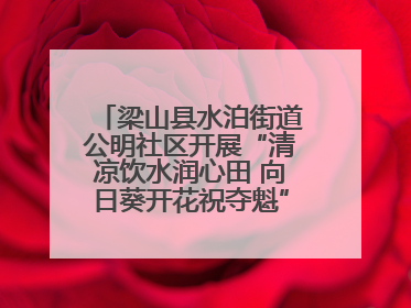 梁山县水泊街道公明社区开展“清凉饮水润心田 向日葵开花祝夺魁”助考活动