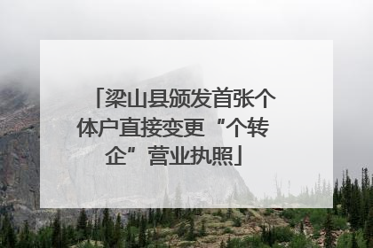 梁山县颁发首张个体户直接变更“个转企”营业执照