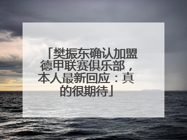 樊振东确认加盟德甲联赛俱乐部，本人最新回应：真的很期待