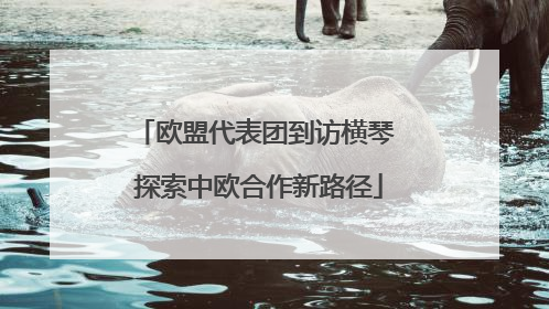 欧盟代表团到访横琴 探索中欧合作新路径