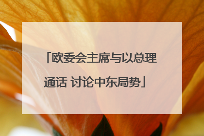 欧委会主席与以总理通话 讨论中东局势