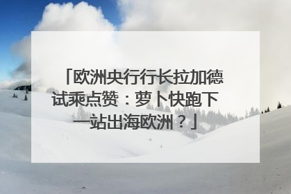 欧洲央行行长拉加德试乘点赞：萝卜快跑下一站出海欧洲？