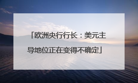 欧洲央行行长：美元主导地位正在变得不确定