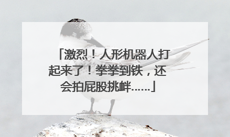 激烈！人形机器人打起来了！拳拳到铁，还会拍屁股挑衅……
