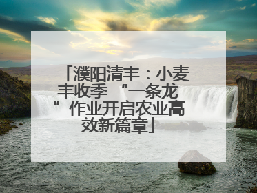 濮阳清丰：小麦丰收季 “一条龙”作业开启农业高效新篇章